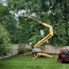 Best Tree Mulching  in Coson, OK