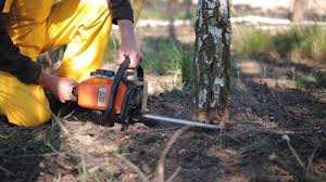 Best Soil Testing and Treatment  in Coson, OK