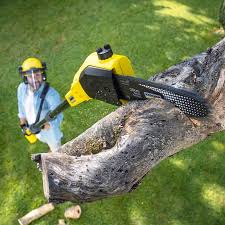 Best Tree Preservation Services  in Coson, OK